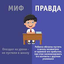 Играем в «Правда или миф»?.
