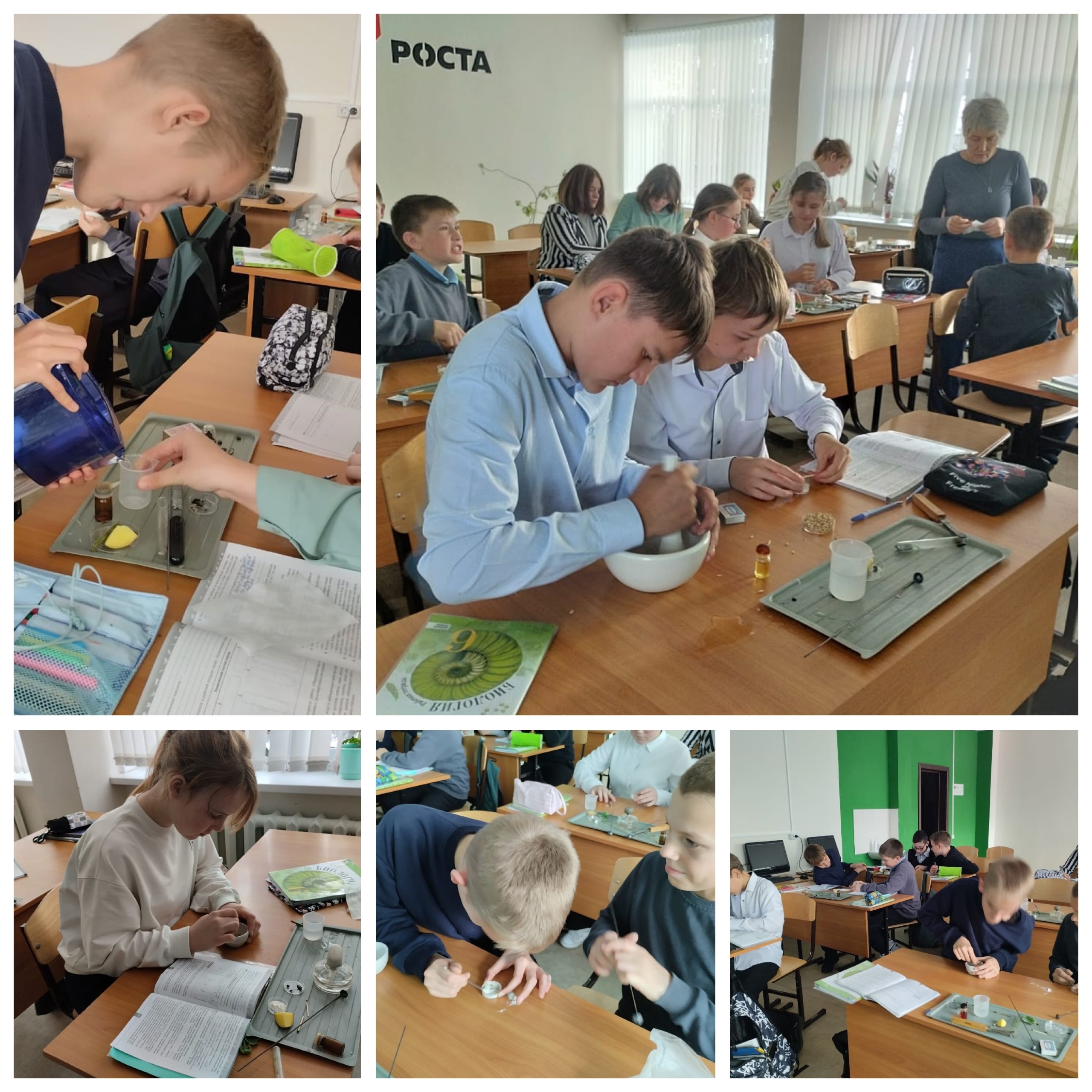 Всероссийская олимпиада.